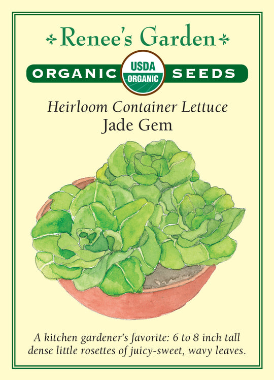 Organic Lettuce Jade Gem - Renee's Garden