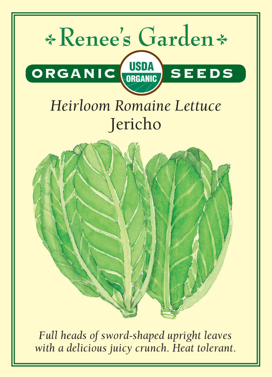 Organic Lettuce Jericho - Renee's Garden