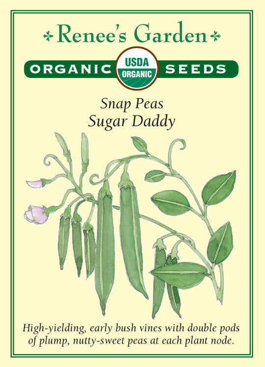 Organic Pea Sugar Daddy - Renee's Garden