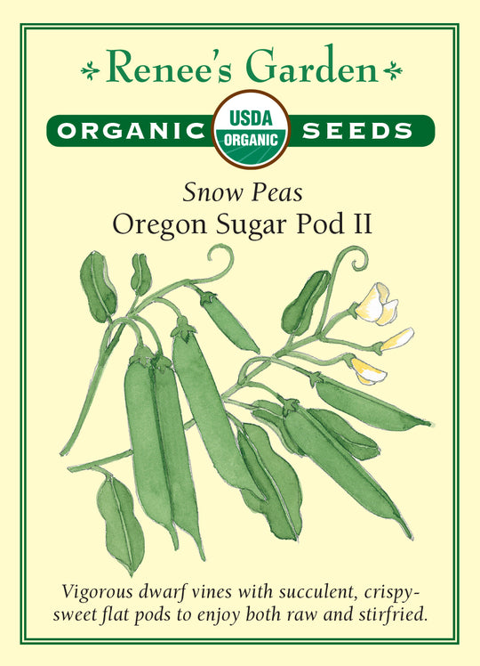Organic Pea Oregon Sugar Pod II - Renee's Garden