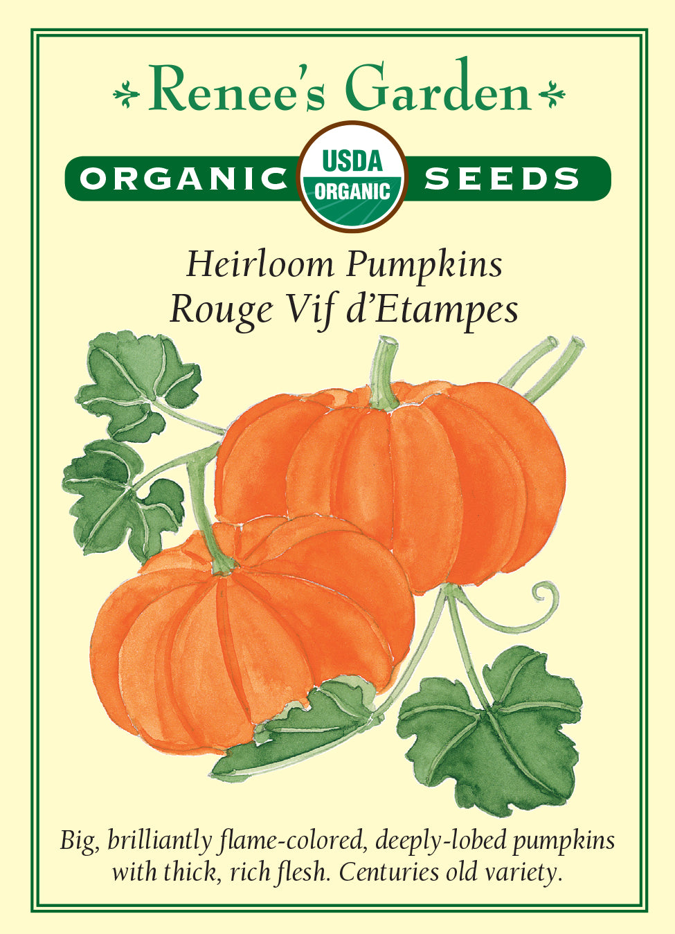 Organic Pumpkin Rouge Vif d'Etampe - Renee's Garden