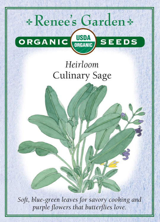 Organic Sage Culinary - Renee's Garden