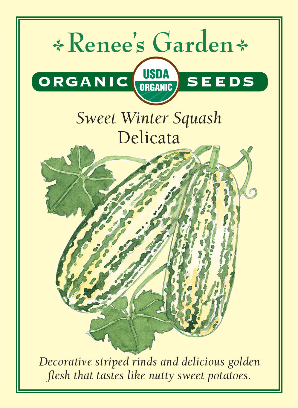 Organic Squash Delicata (Winter) - Renee's Garden
