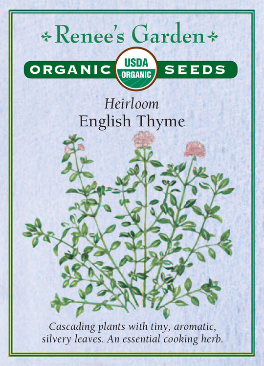 Organic Thyme English - Renee's Garden