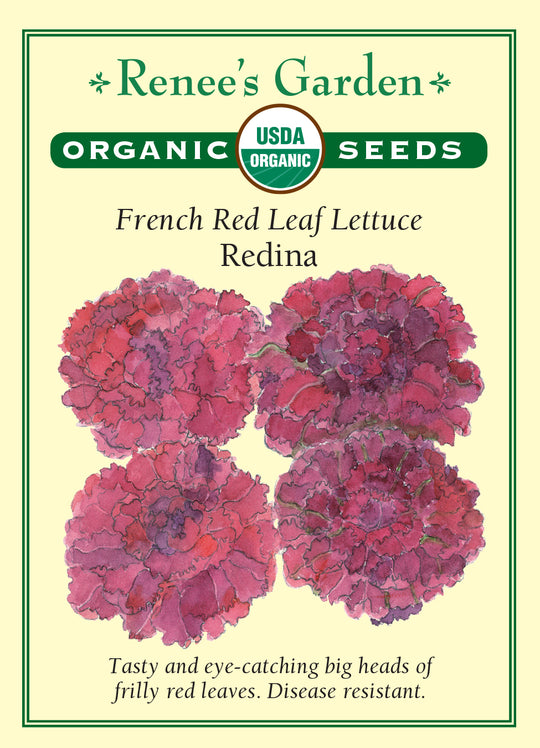 Organic Lettuce Redina - Renee's Garden