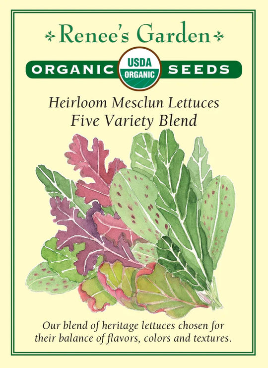 Organic Mesclun Five Variety Blend - Renee's Garden