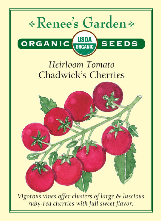 Organic Tomato Chadwick's Cherries - Renee's Garden