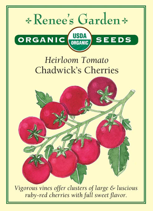 Organic Tomato Chadwick's Cherries - Renee's Garden