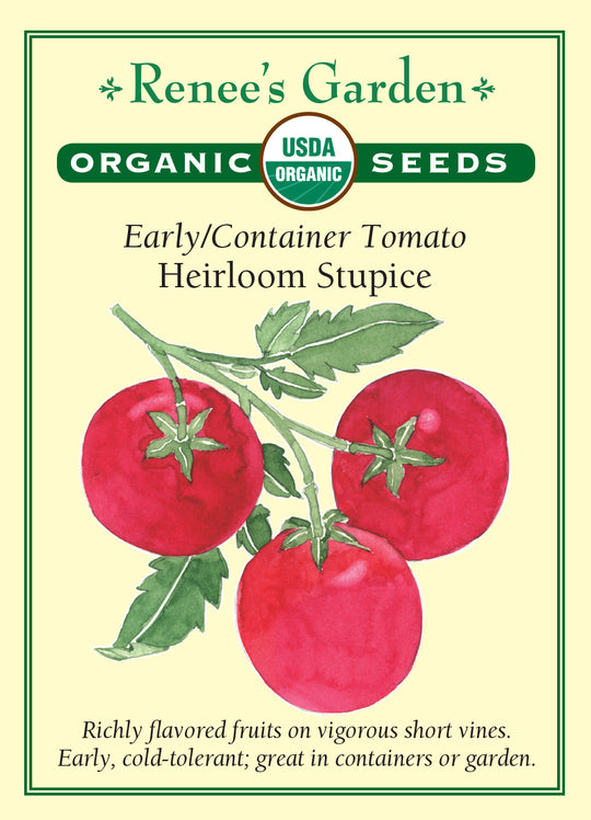 Organic Tomato Heirloom Stupice - Renee's Garden