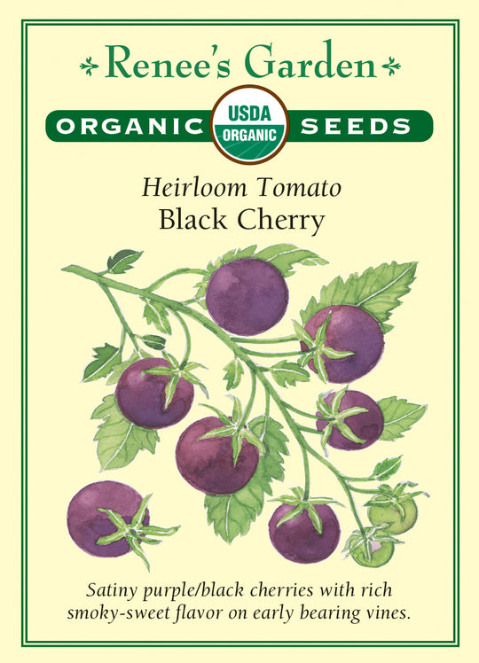 Organic Tomato Black Cherry - Renee's Garden