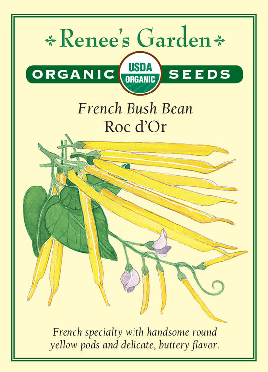 Organic Bean Roc d'Or - Renee's Garden