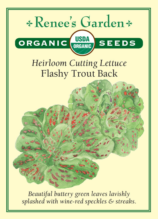 Organic Lettuce Flashy Trout Back - Renee's Garden