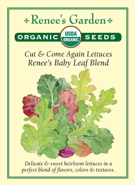 Organic Lettuce Renee's Baby Leaf Blend - Renee's Garden
