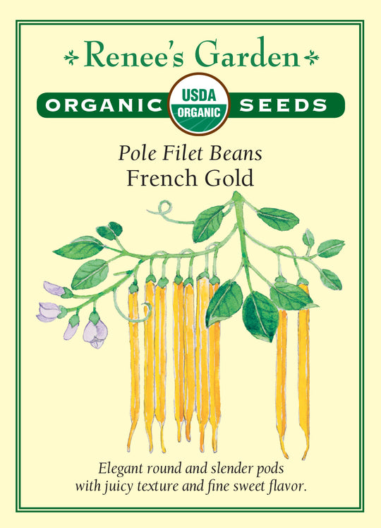 Organic Bean French Gold - Renee's Garden