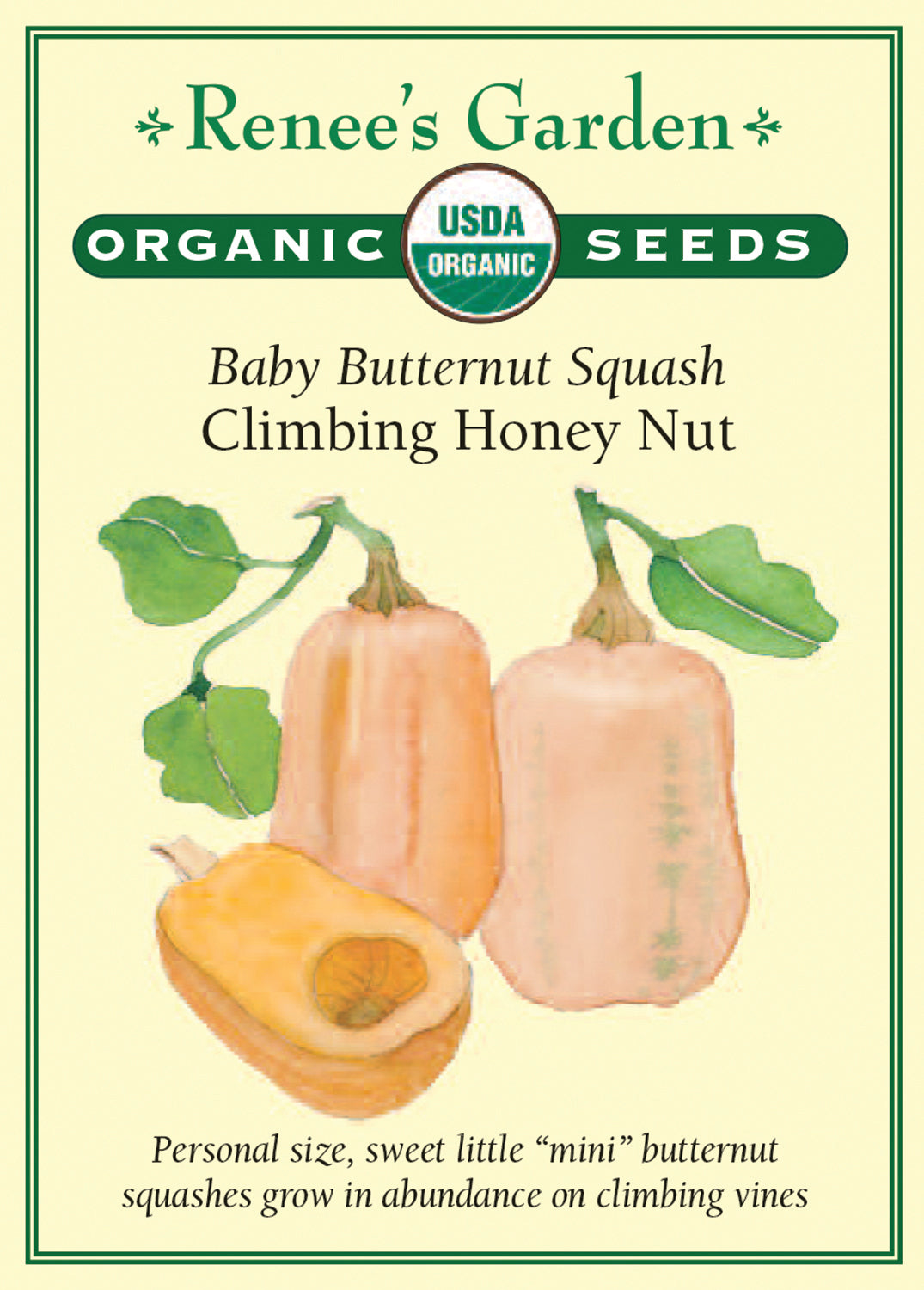 Organic Squash Climbing Honey Nut - Renee's Garden