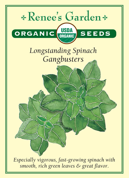 Organic Spinach Gangbusters - Renee's Garden