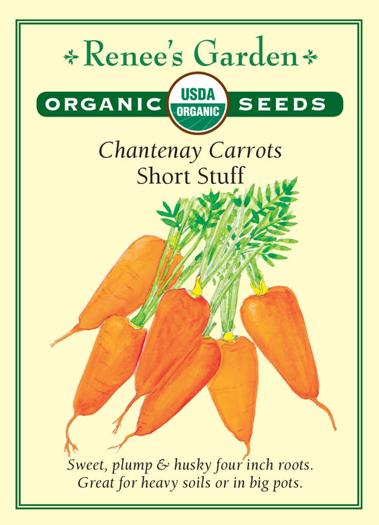 Organic Carrot Short Stuff - Renee's Garden
