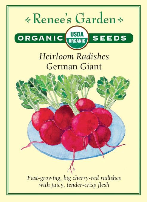 Organic Radish German Giant - Renee's Garden