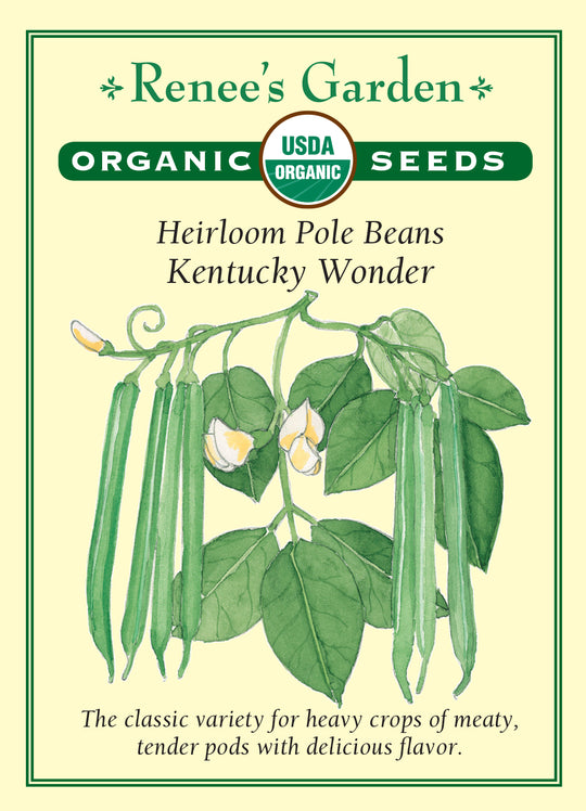 Organic Bean Kentucky Wonder Pole - Renee's Garden