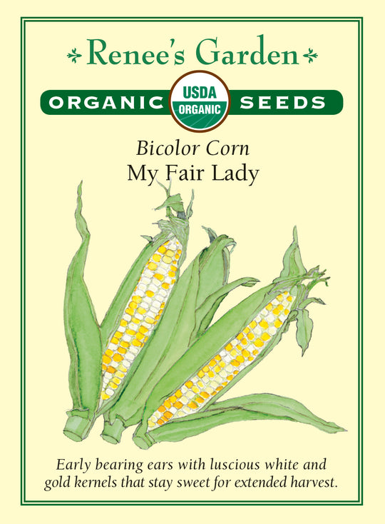 Organic Corn My Fair Lady - Renee's Garden