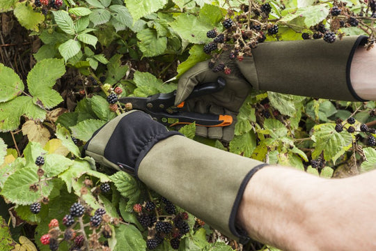 Garden Gloves - Game of Thorns | Men's Gloves