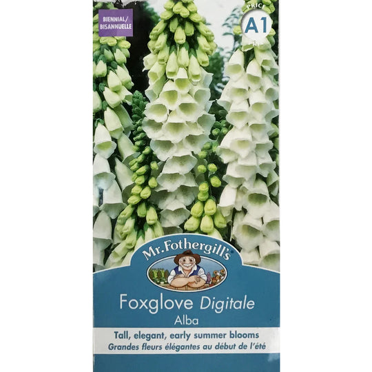 Foxglove Alba - Mr.Fothergill's Seeds