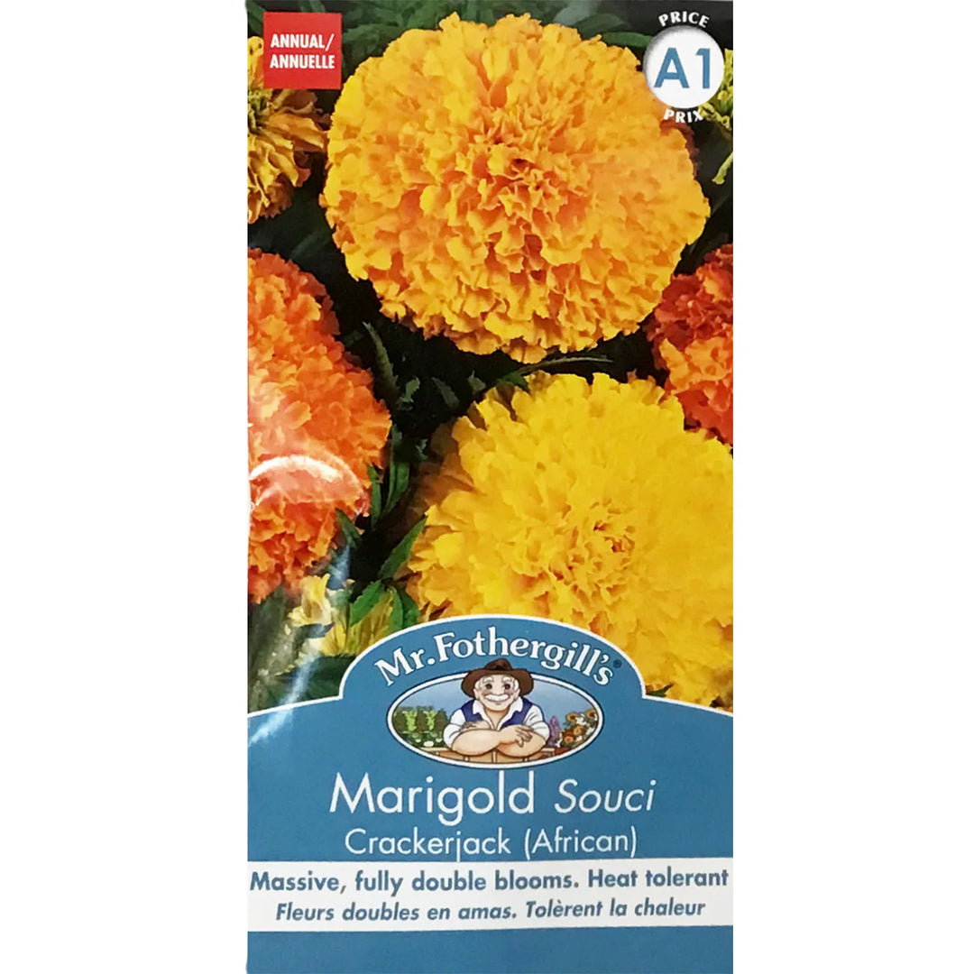 Marigold Crackerjack - Mr.Fothergill's Seeds