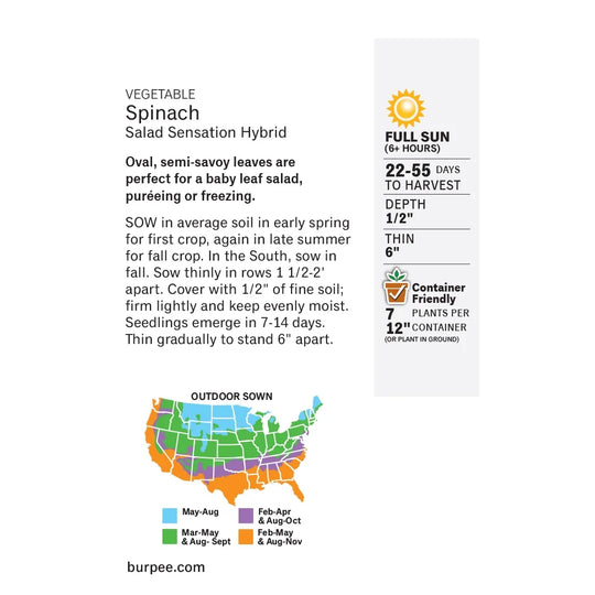 Spinach Salad Sensation - Burpee Seeds