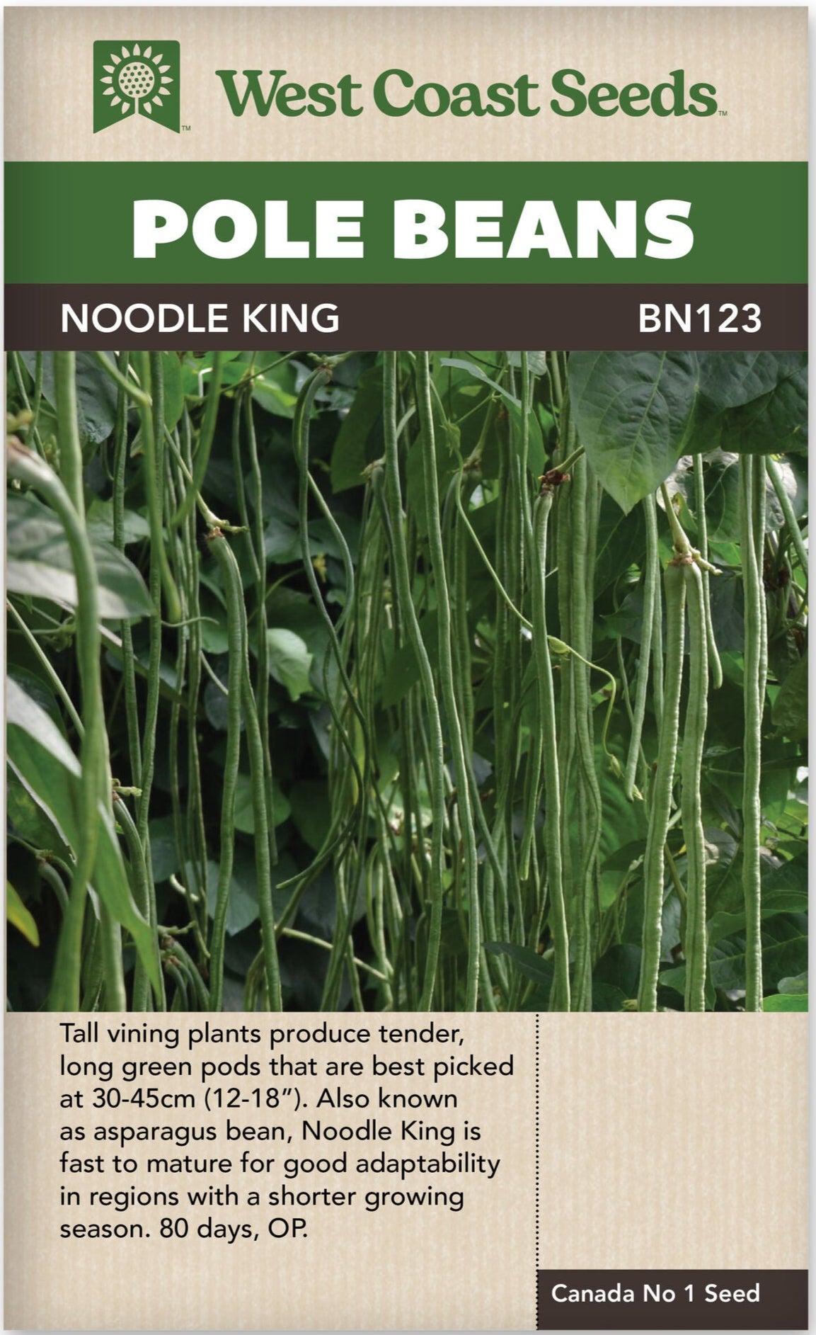 Pole Beans Noodle King - West Coast Seeds