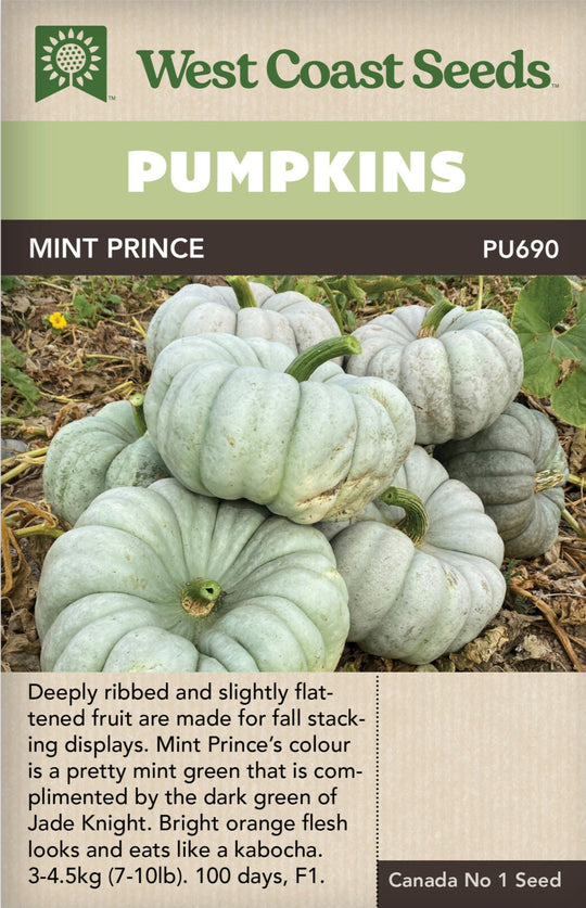 Pumpkin Mint Prince - West Coast Seeds