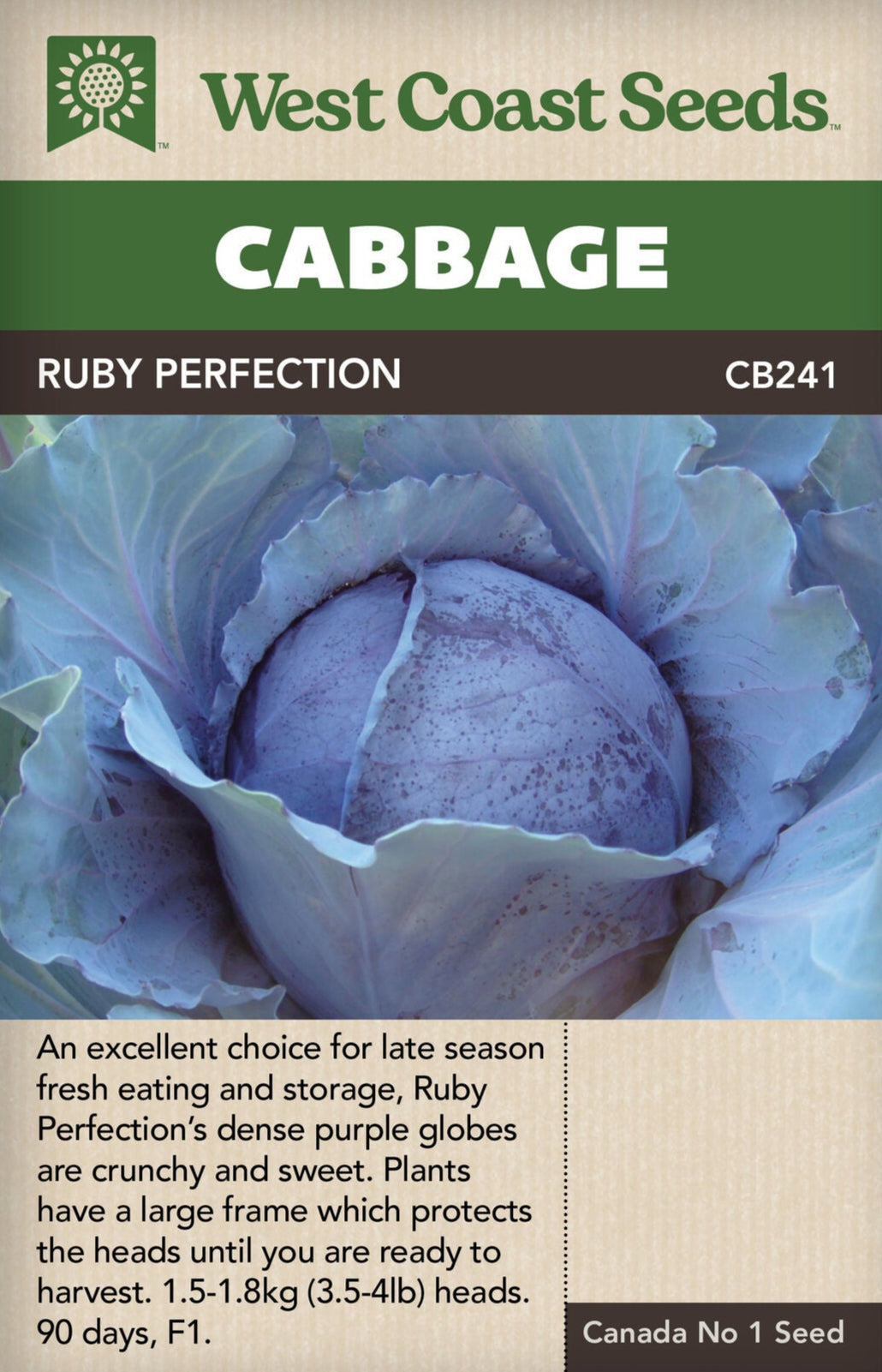 Ruby Red Cabbage Cabbage Ruby Perfection - West Coast Seeds – Wildwood Outdoor Living