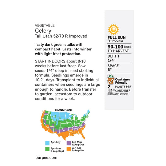 Celery Utah 52-70 R - Burpee Seeds
