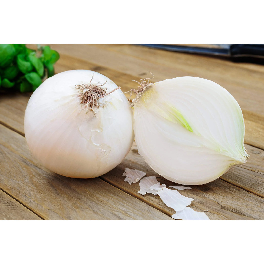 Sweet White Spanish Onion - Burpee Seeds