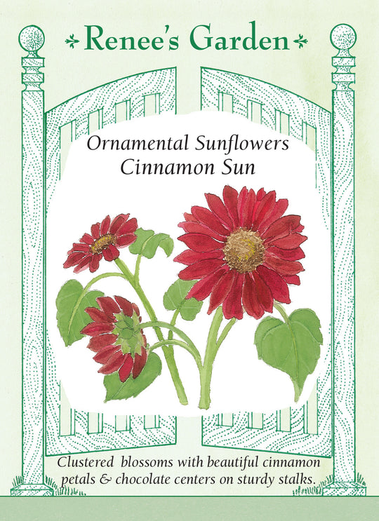 Sunflower Cinnamon Sun - Renee's Garden