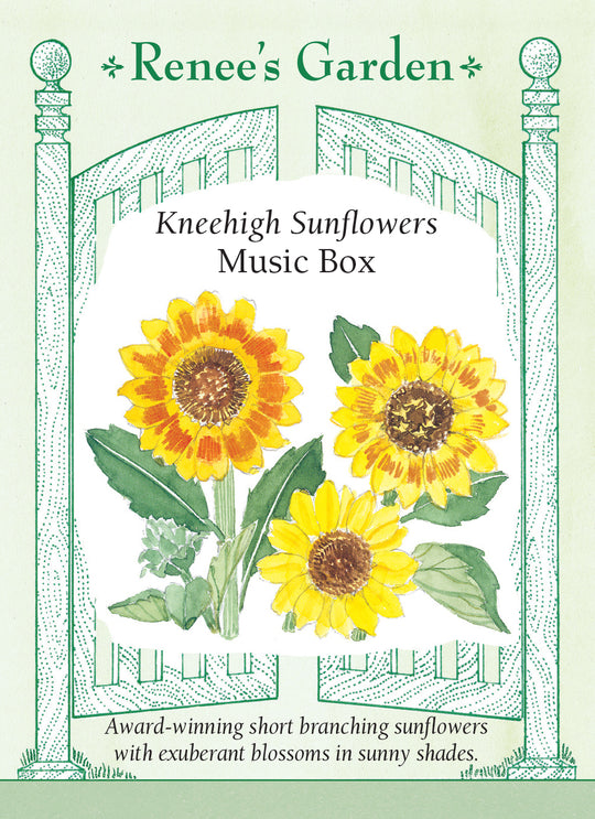 Sunflower Music Box - Renee's Garden