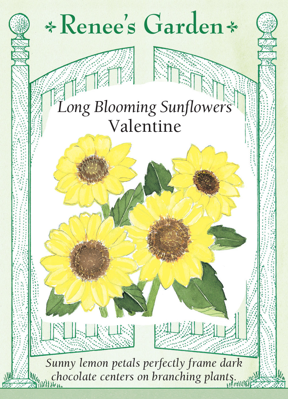 Sunflower Valentine - Renee's Garden