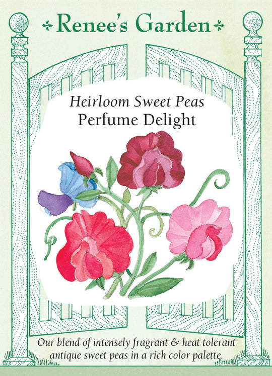 Sweet Pea Perfume Delight - Renee's Garden