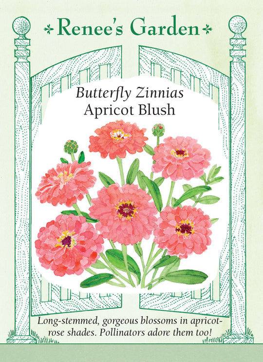 Zinnia Apricot Blush - Renee's Garden