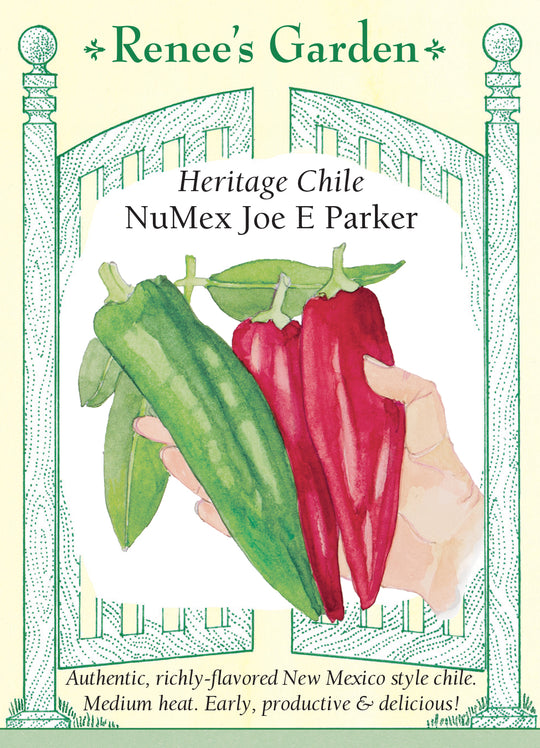 Pepper NuMex Joe E Parker - Renee's Garden