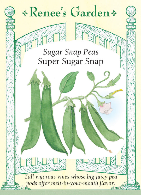 Pea Super Sugar Snap - Renee's Garden