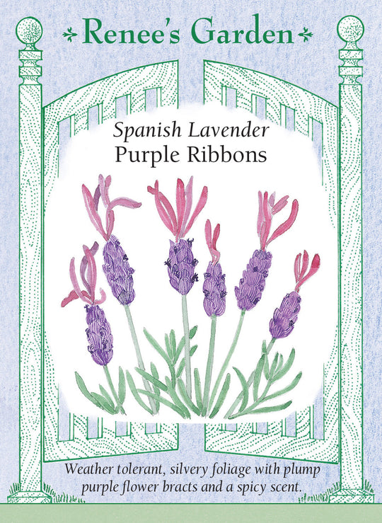 Lavender Purple Ribbons - Renee's Garden