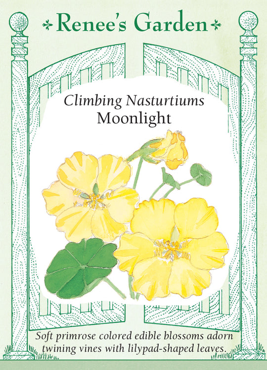 Nasturtium Moonlight - Renee's Garden