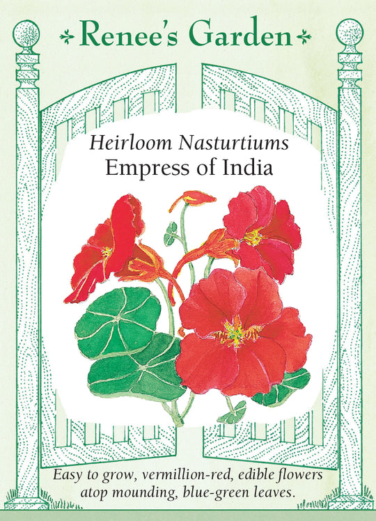 Nasturtium Empress of India - Renee's Garden