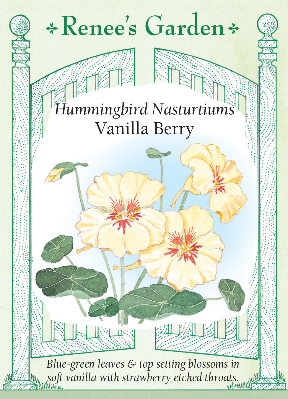 Nasturtium Vanilla Berry - Renee's Garden