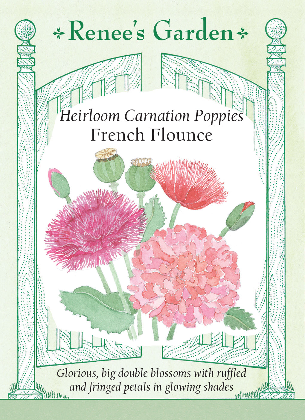 Poppy French Flounce - Renee's Garden