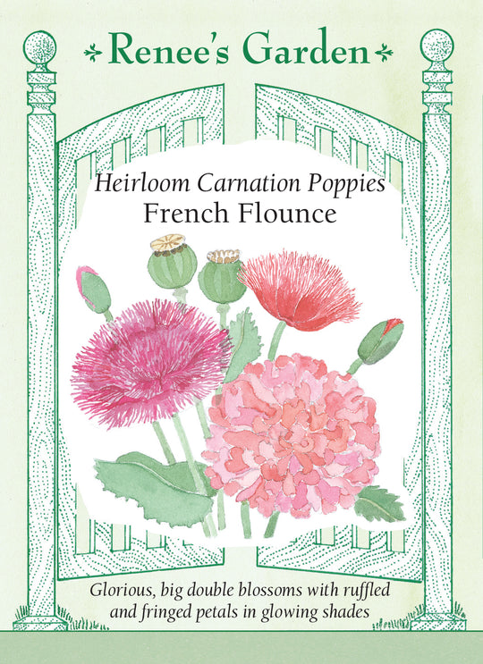 Poppy French Flounce - Renee's Garden