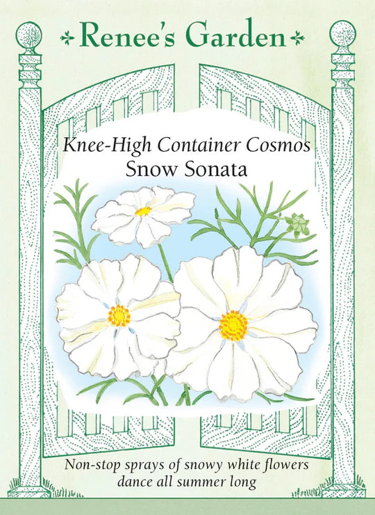 Cosmos Snow Sonata - Renee's Garden