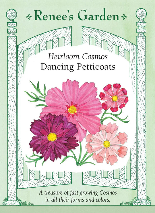 Cosmos Dancing Petticoats - Renee's Garden
