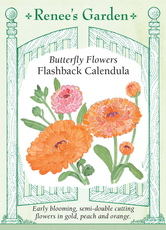 Calendula Flashback - Renee's Garden