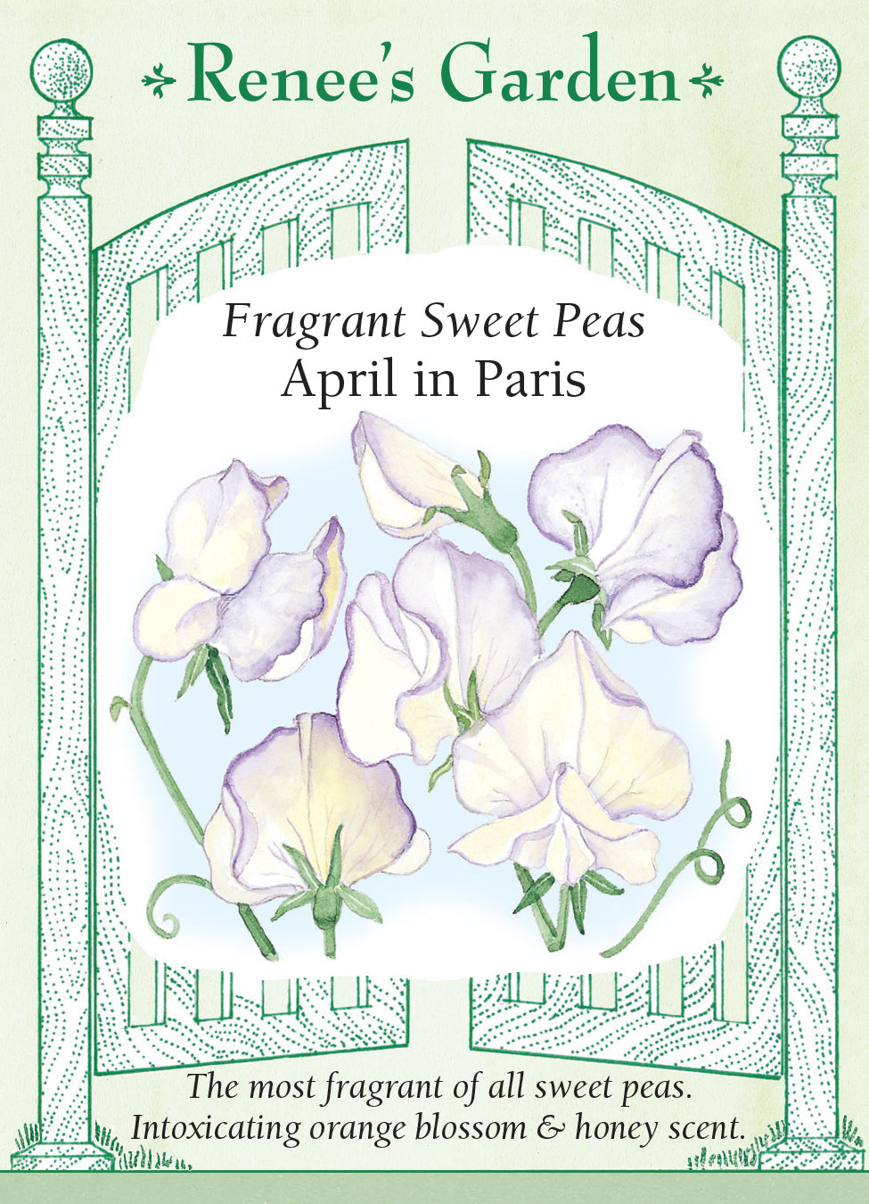 Sweet Pea April in Paris - Renee's Garden